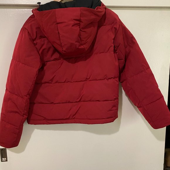 Everlane Cropped Puffer in Red - Picture 2 of 5